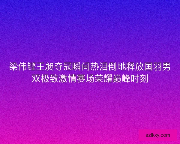 梁伟铿王昶夺冠瞬间热泪倒地释放国羽男双极致激情赛场荣耀巅峰时刻