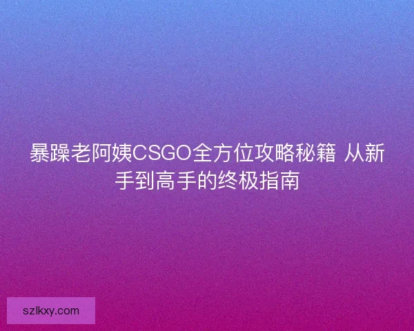暴躁老阿姨CSGO全方位攻略秘籍 从新手到高手的终极指南