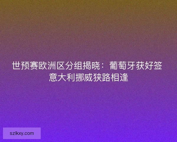 世预赛欧洲区分组揭晓：葡萄牙获好签 意大利挪威狭路相逢